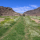 Wadi Mashar, northwest of Hail, is a popular tourist spot with acacia trees, granite rocks, and springs, reflecting the region's history.