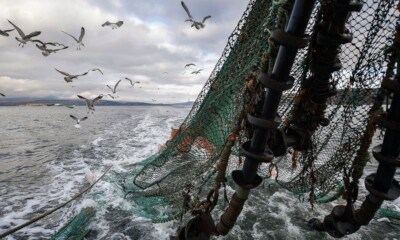 Saudi Arabia is tackling overfishing, a significant issue due to its abundant marine biodiversity along its 3,800 km coastline.