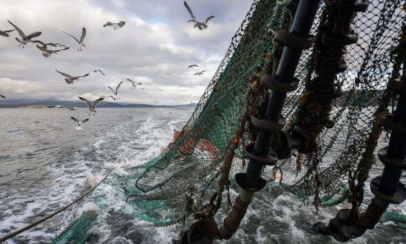 Saudi Arabia is tackling overfishing, a significant issue due to its abundant marine biodiversity along its 3,800 km coastline.