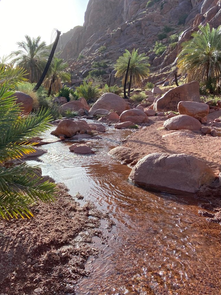 Wadi Mashar, northwest of Hail, is a popular tourist spot with acacia trees, granite rocks, and springs, reflecting the region's history.